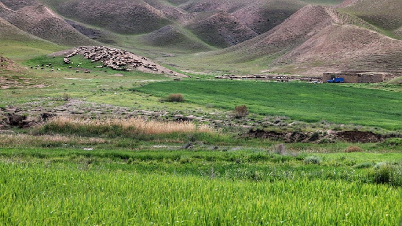 احاله مدیریت نهالستان جنگلی و طرح مرتعداری به مناسبت هفته دولت