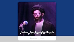 پایان دلتنگی مادر شهید شهریاری و پیوستنش به فرزند نیکش + فیلم