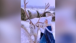 مراحل تهیه دارو از زهرِ مار + فیلم