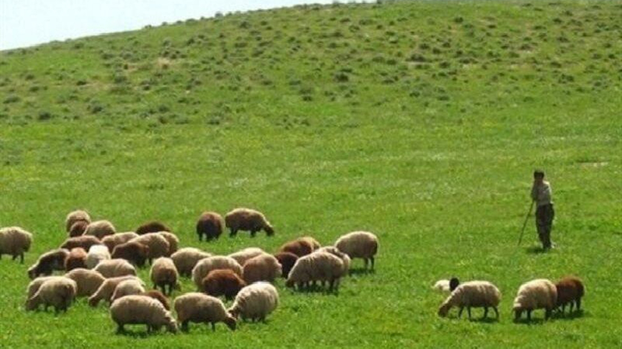 آذر امسال، آخرین فرصت پرداخت عوارض پروانه "چرا"