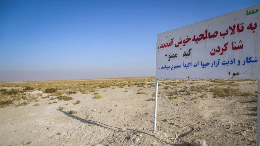 زیست بوم تالاب صالحیه در دوقدمی نابودی قرار دارد