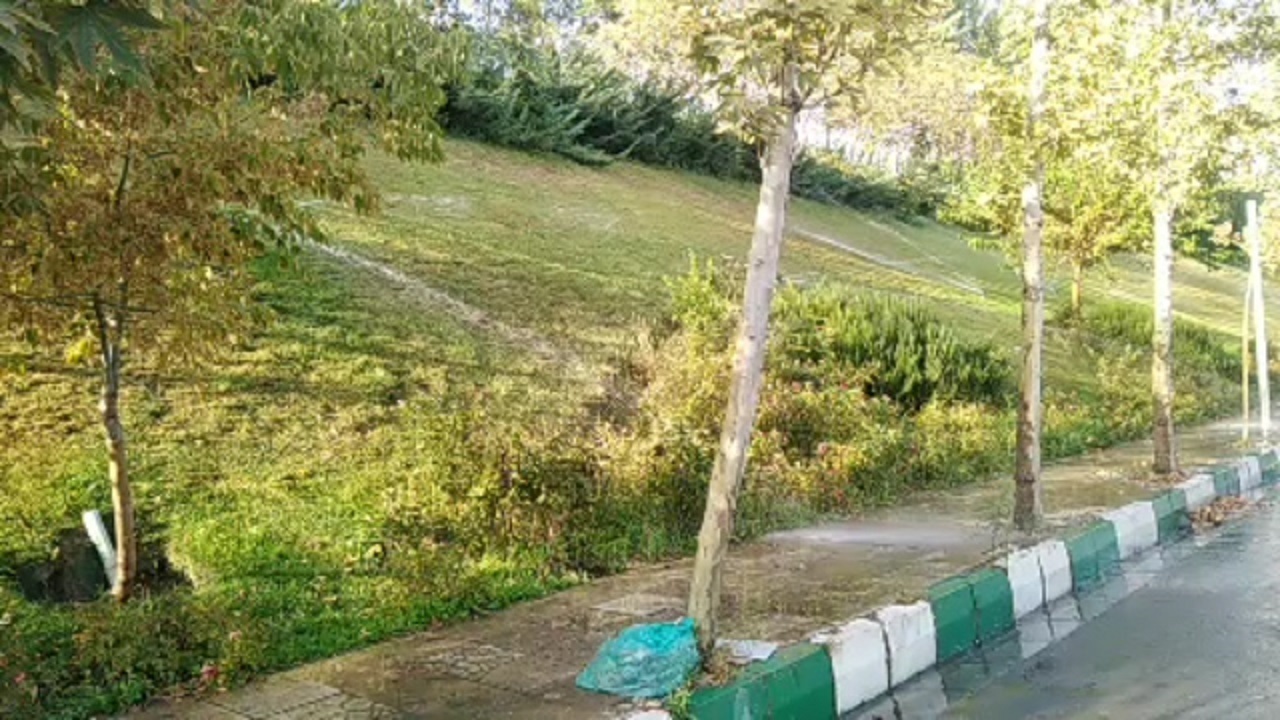آبیاری پیاده رو به جای درختان در بوستان آب و آتش! + فیلم