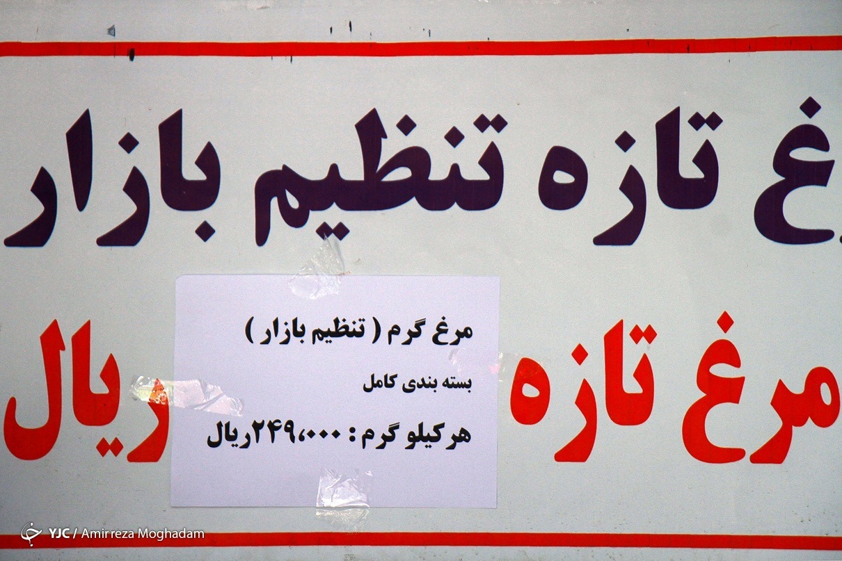 قیمت مرغ