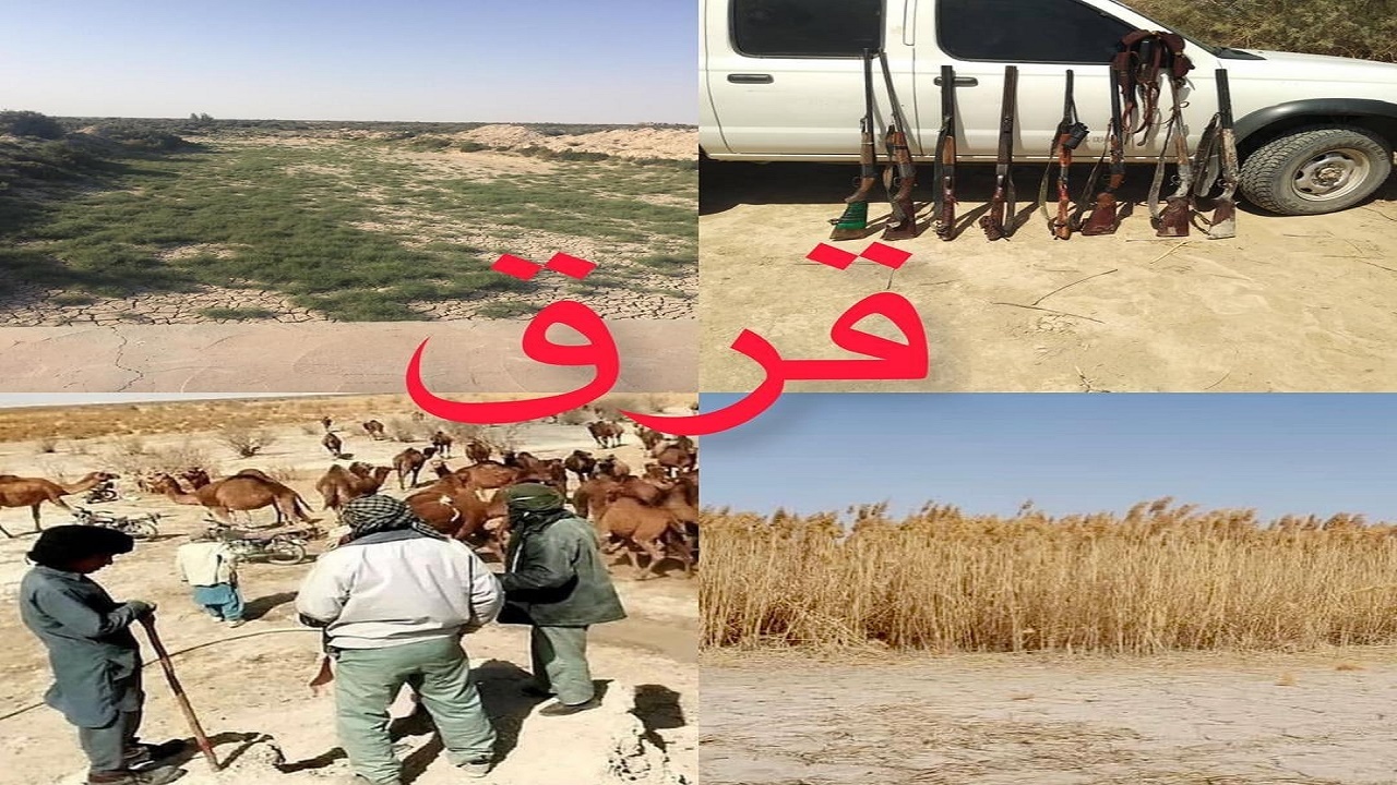قُرُق داروی موثر نجات تالاب هامون