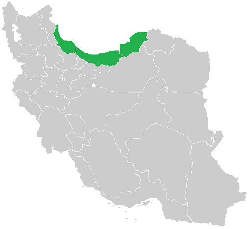 از تهران تا توکیو با سامورایی&zwnj;های ژاپنی / زیباترین درخت دنیا نماد پرچم کانادا