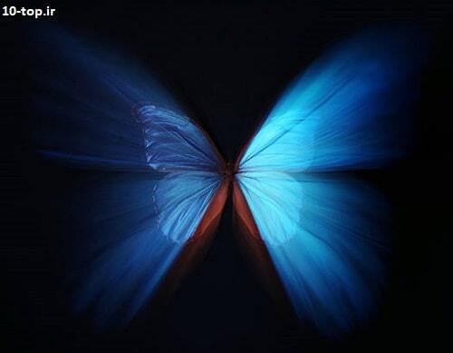 اثر پروانه ای 
