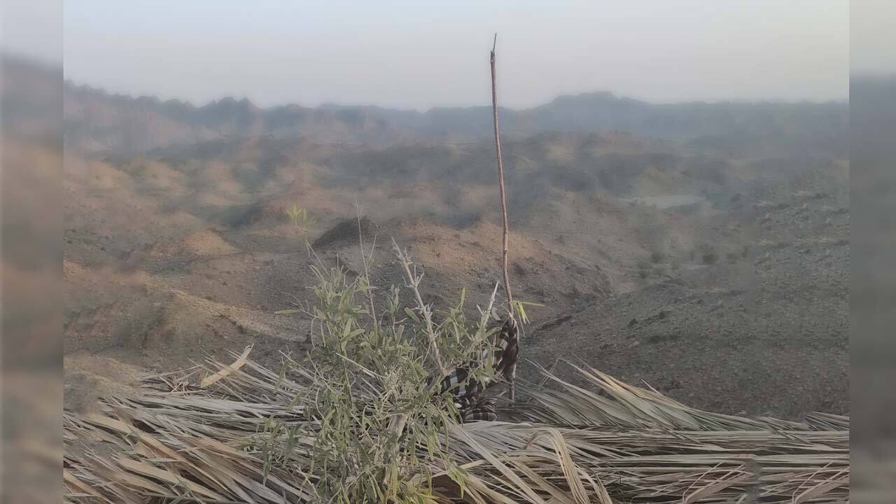 ساخت دکل موبایل با حصیر و چوب در بیابان! + تصاویر