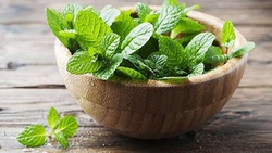 خواص نعنا در طب سنتی + فیلم