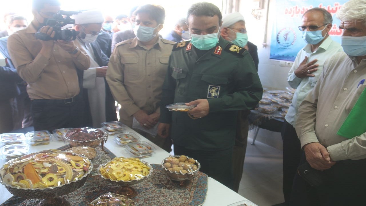 افتتاح ۱۳۰ کارگاه اشتغال خرد خانگی در شهرستان قاین
