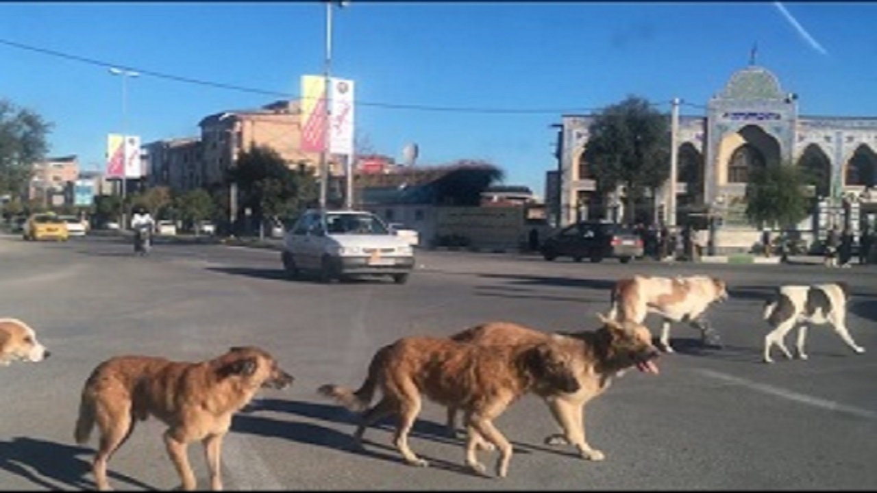 از