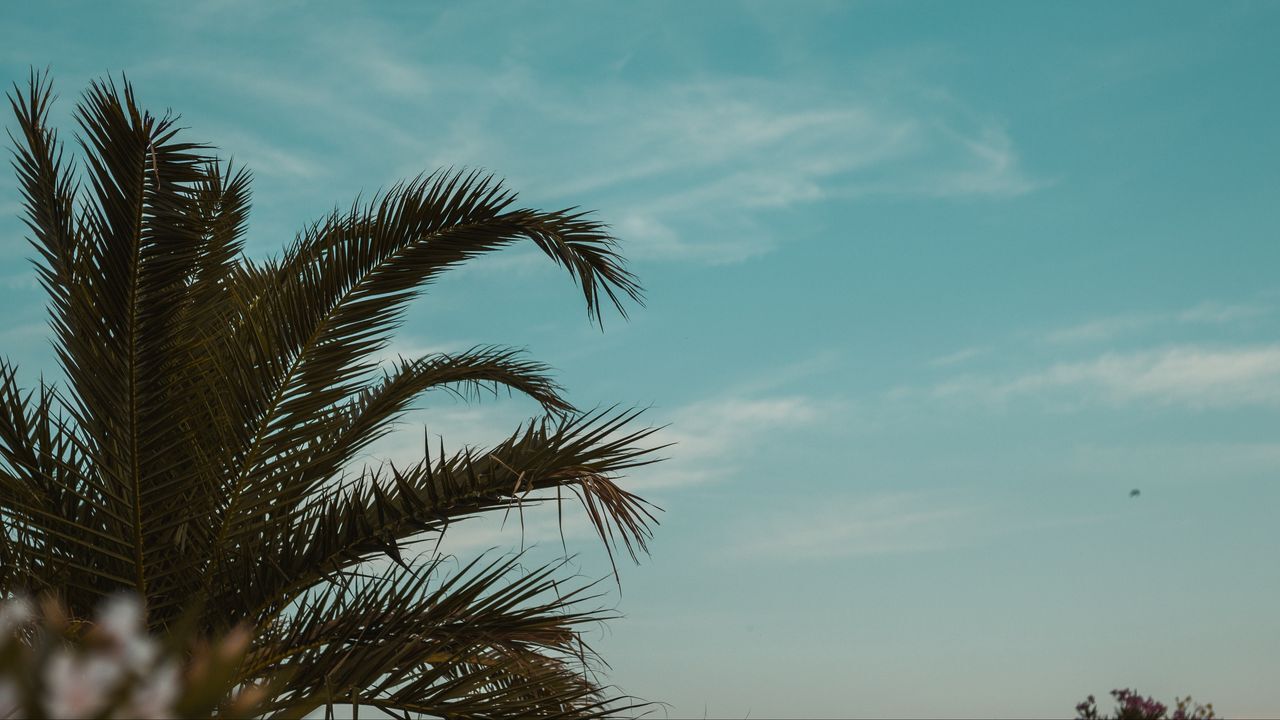 جذاب&zwnj;ترین تصاویر پس زمینه