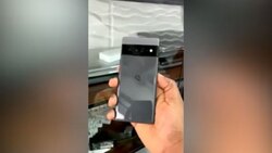 متوقف شدن پروژه گوگل به علت مزاحمت کلاغ‌ها + فیلم