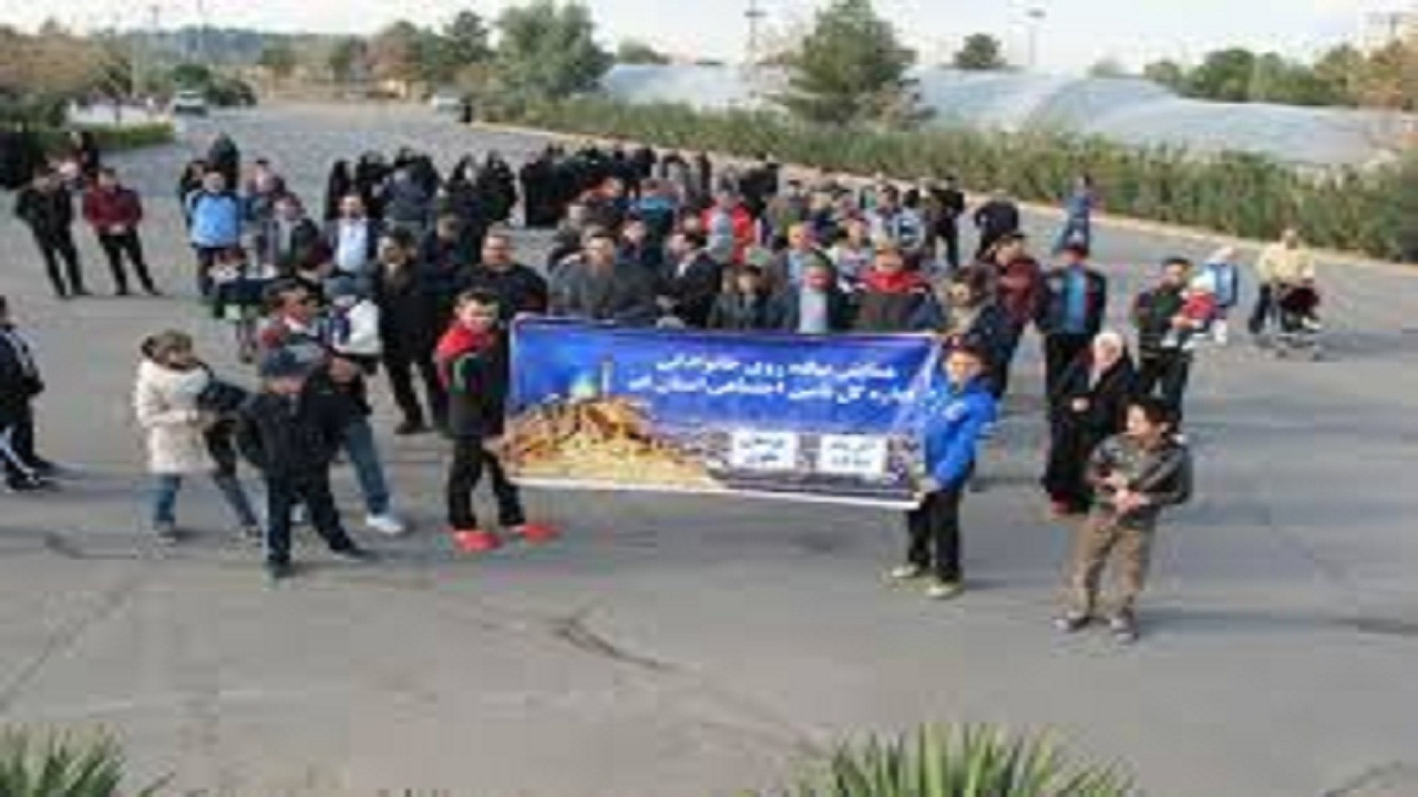استان سمنان مقام اول طرح ملی پیاده روی را کسب کرد