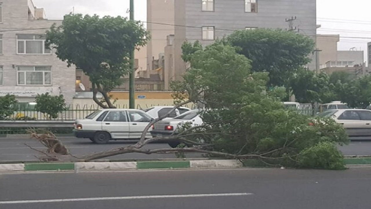 فراگرفتن تند بادهای لحظه ای با ۴۵ کیلومتر بر ساعت در استان همدان