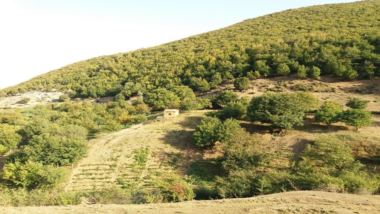 سفری کوتاه به شاهرود + فیلم