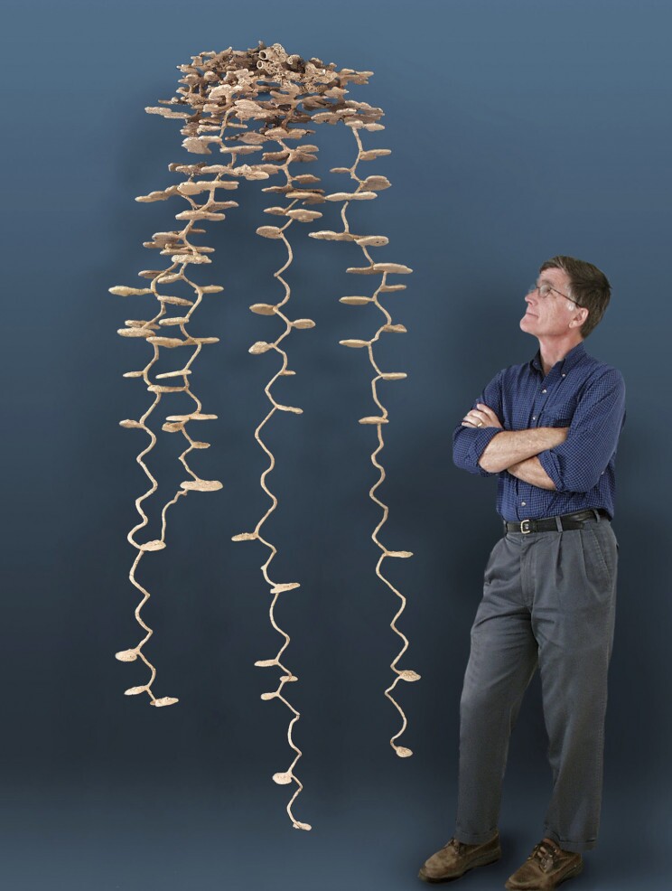 شهرهای زیرزمینی حاصل کار مهندسانی فوق حرفه ای به نام مورچه