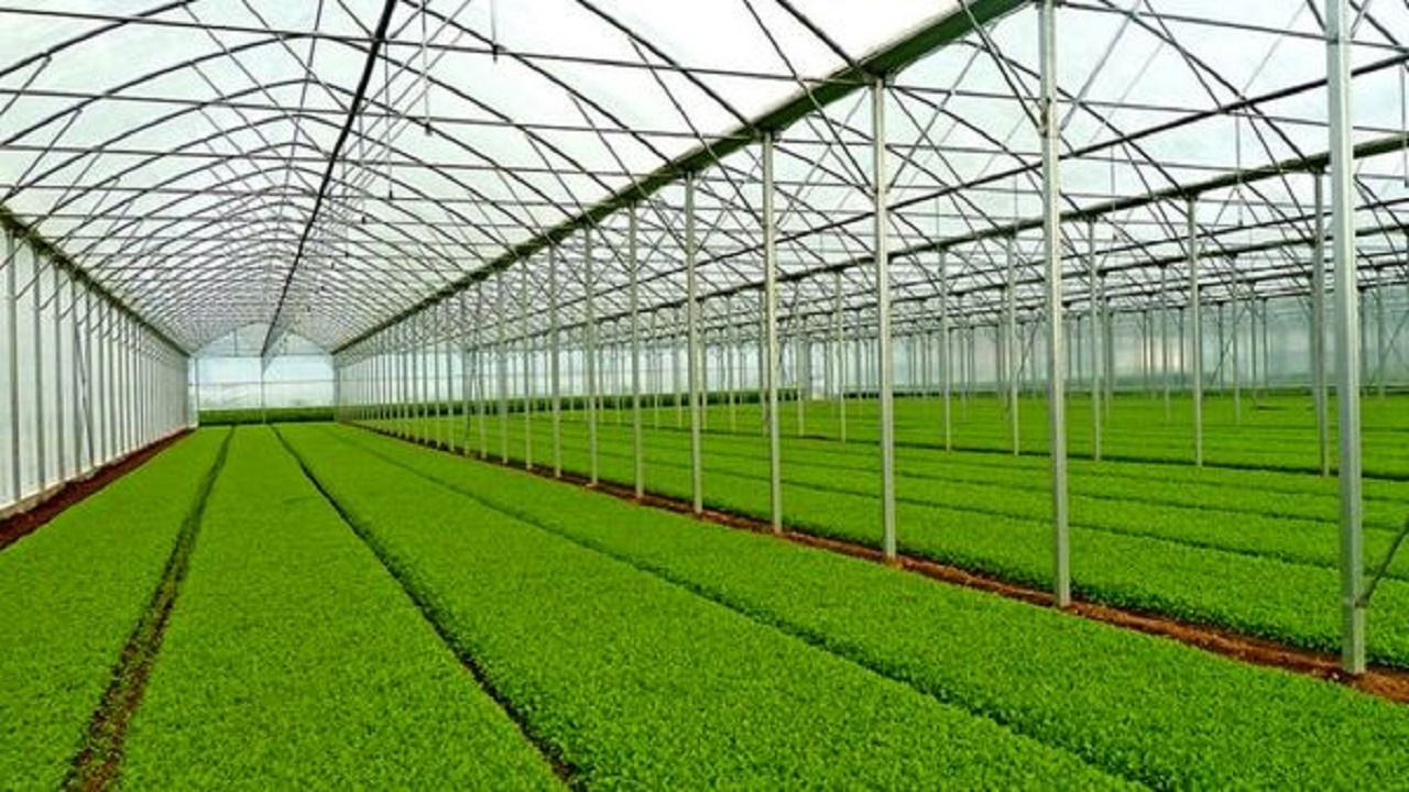 معرفی ۴۰ طرح سرمایه‌گذاری در بخش کشاورزی خراسان جنوبی