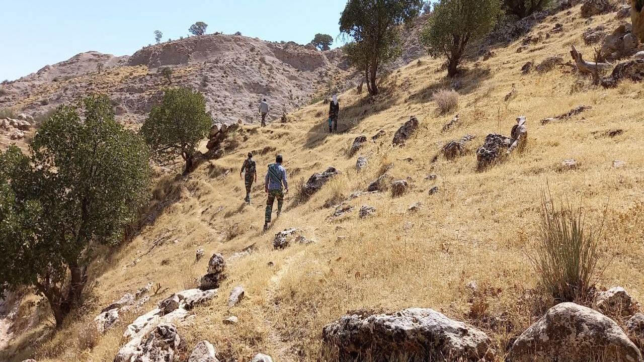 گشت حفاظتی در منطقه دنه و چناره جهت برخورد با قطع درختان جنگلی