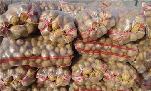 جای خالی صنایع تبدیلی در صنعت کشاورزی همدان