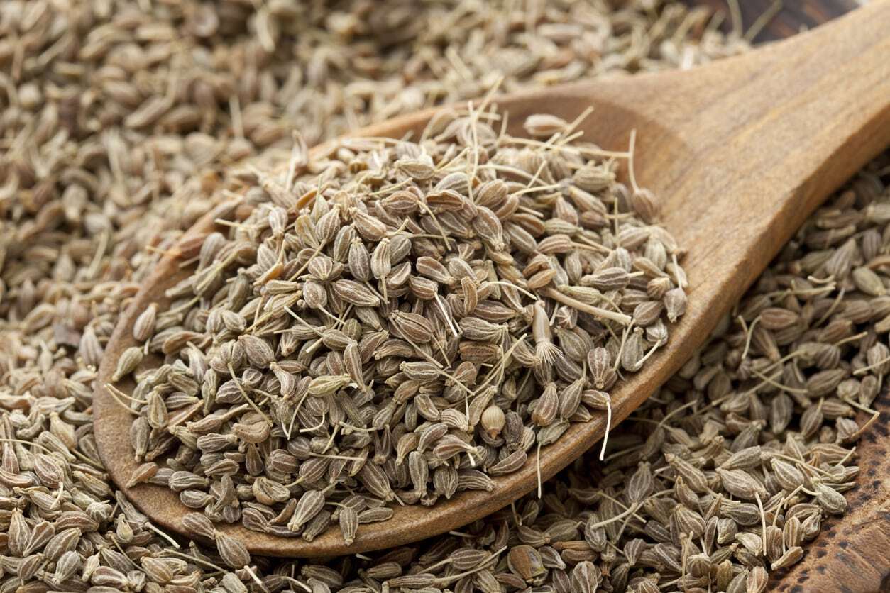 آنیسون؛ گیاه شگفت انگیز با دنیایی از فایده! (+عکس) آنیسون؛ گیاه شگفت انگیز با دنیایی از فایده! (+عکس)