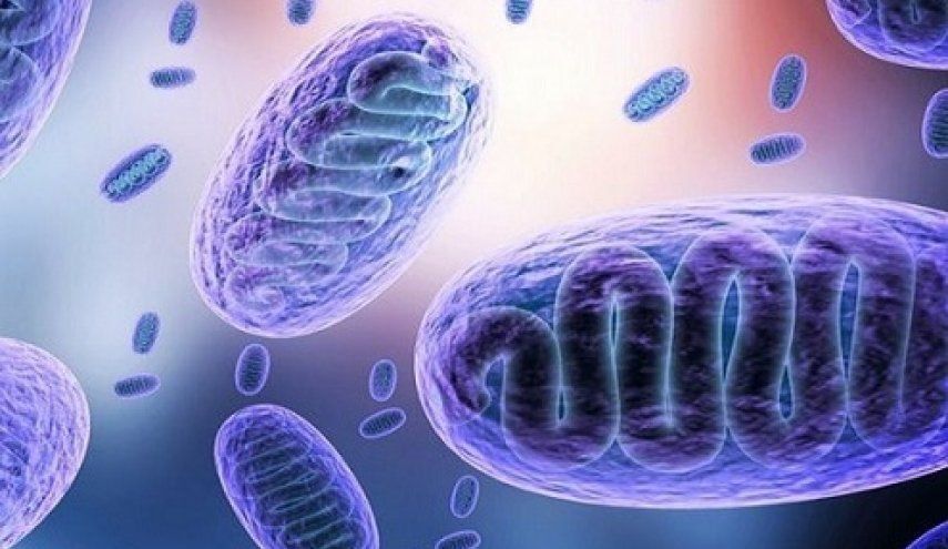 علائم قارچ سیاه چیست و چه کسانی را درگیر می‌کند؟