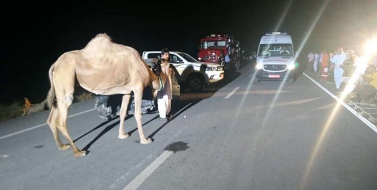 دو کشته براثر تصادف خودرو با شتر در سیریک