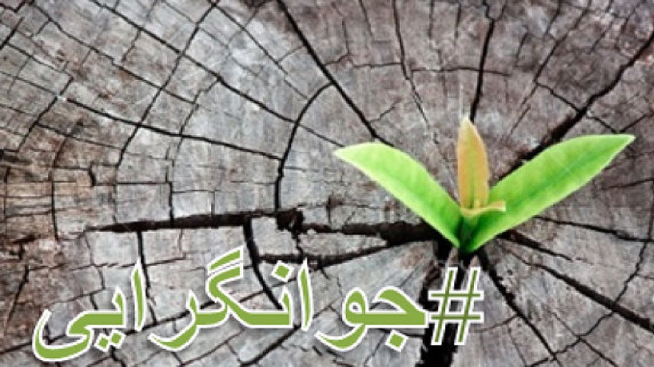 استفاده از جوان بی‌تجربه مضر است/ جوان‌گرایی از بدنه میانی کشور آغاز شود
