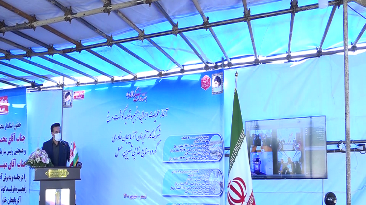 آغاز طرح ایجاد بزرگترین زنجیره تولید گوشت مرغ کشور