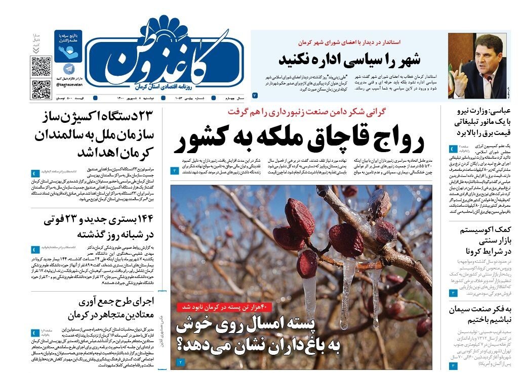 قاچاق ملکه زنبورها/ گردشگری کرمان نیازمندحامی