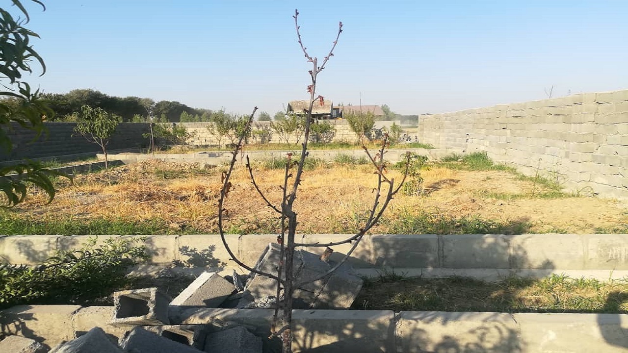 آزادسازی ۱۰۲ هکتار از اراضی تغییر کاربری یافته درساوجبلاغ