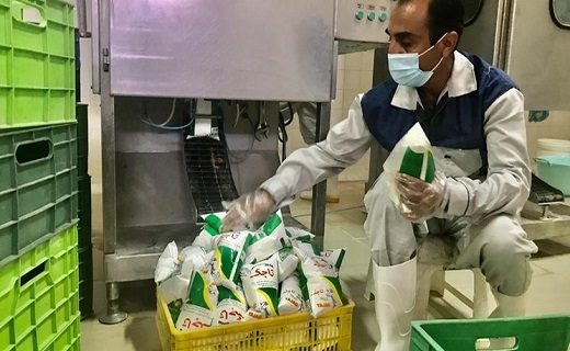 شیر