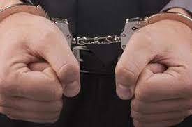 راه مقابله با جرائم علیه امنیت کشور در دیگر کشورها چگونه است؟