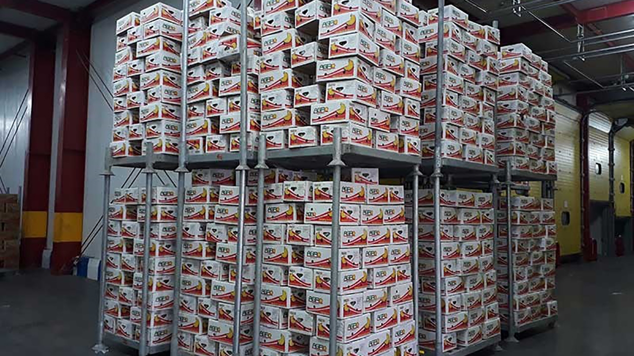 ترخیص نشدن کانتینرهای موز از گمرکات هرمزگان شایعه یا واقعیت؟