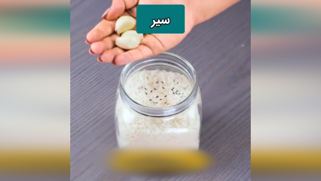 چگونه باید از حشره زدن برنج جلوگیری کرد؟ + فیلم