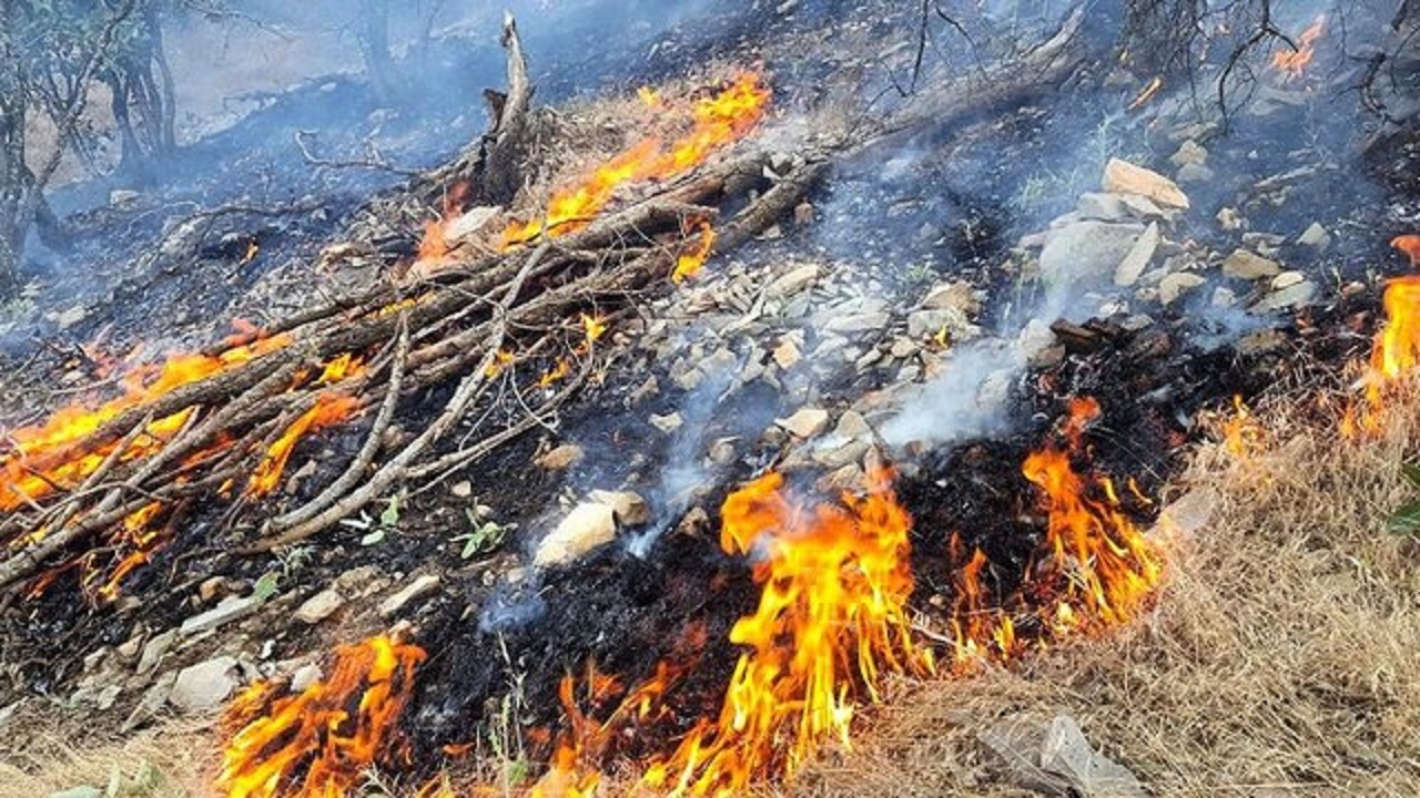 افزایش خطر آتش سوزی جنگل‌ها با گرم شدن هوا در گلستان