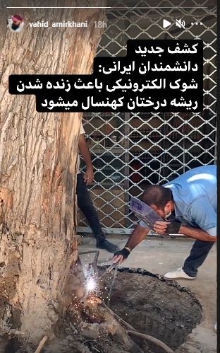 وحید امیرخانی