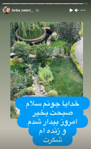 فریبا نادری