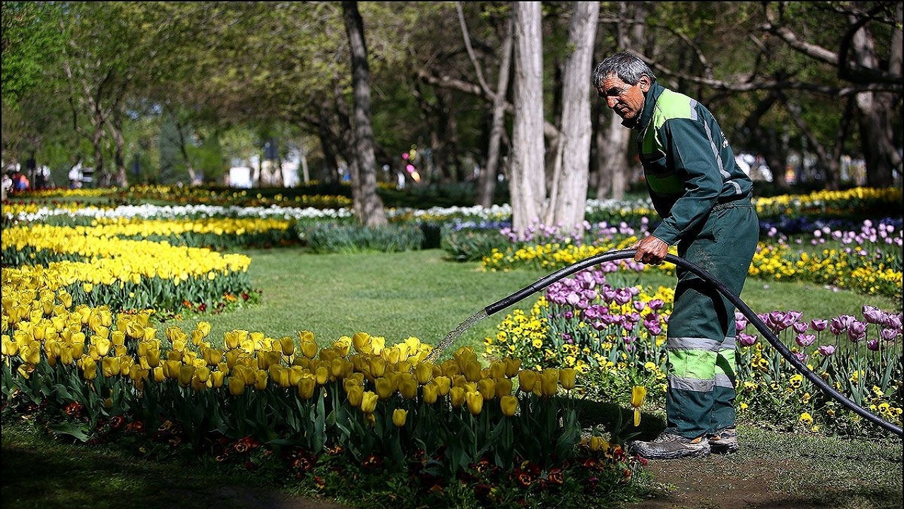 شناسایی گونه ها‌ی مرتعی سازگار با کم آبی در مشهد