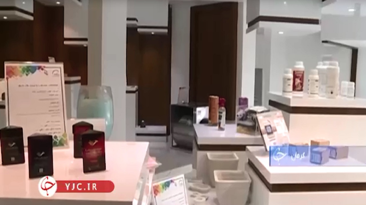 استان کرمان نخستین مقصد استان آپ در کشور+فیلم