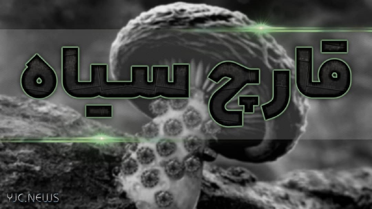 روزگار سیاه مبتلایان به قارچ سیاه/ وقتی دلالان دارو جان می گیرند و پول به جیب می زنند