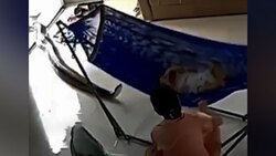 نجات جالب گوسفند گرفتار در سیم خاردار + فیلم