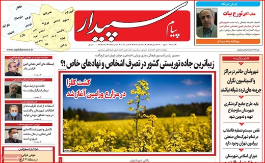 سپیدار