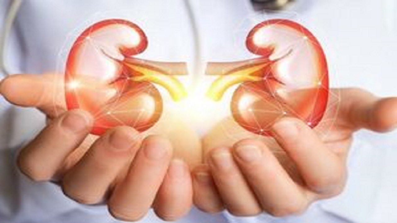 نحوه مراقبت از کودک مبتلا به بیماری کلیه