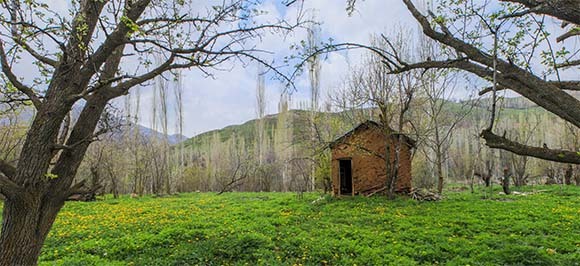 این گزارش ثابت میکند که شما از زیباییهای طالقان کاملا بیخبرید! + تصاویر طبیعت شهرستان طالقان