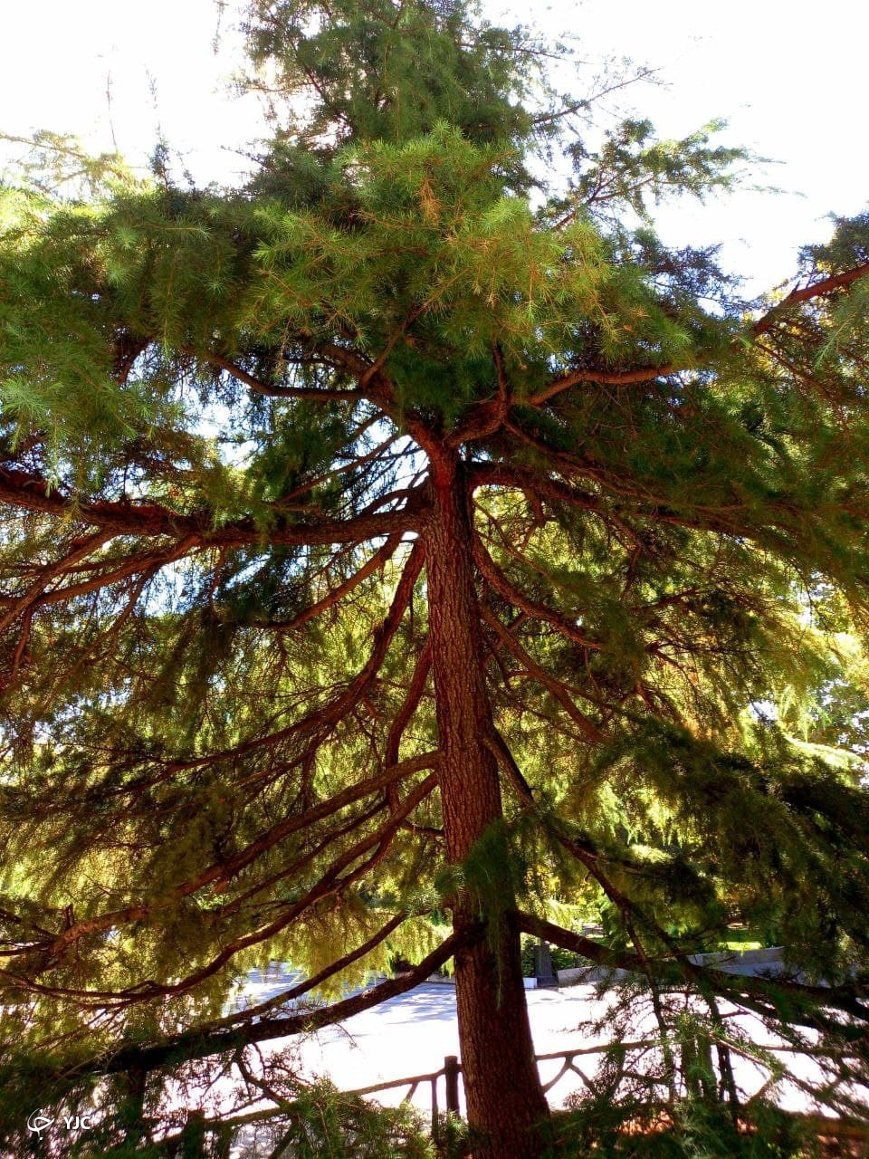 گشتی در بوستان ملت تهران + فیلم و تصاویر
