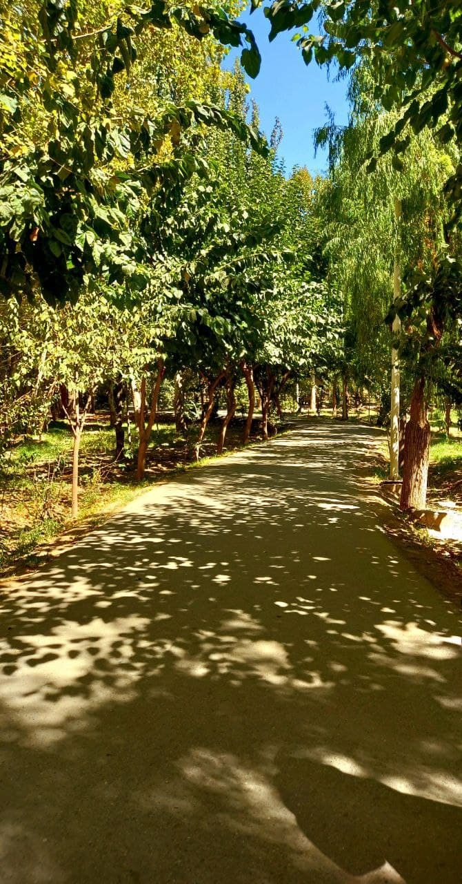 عکس پاییزی