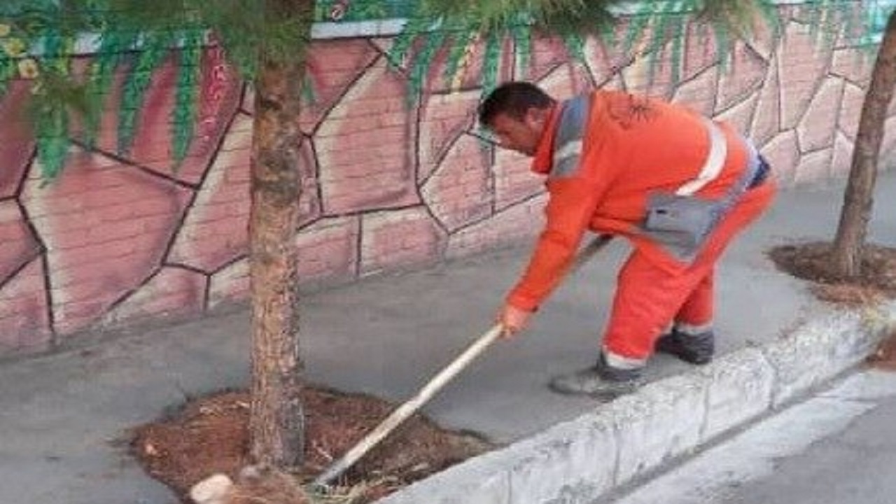 طرح پاک‌سازی محلات منطقه هشت آغاز شد