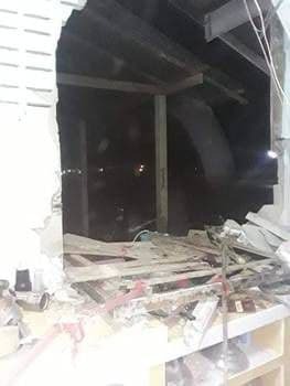 فیل مهمان ناخوانده