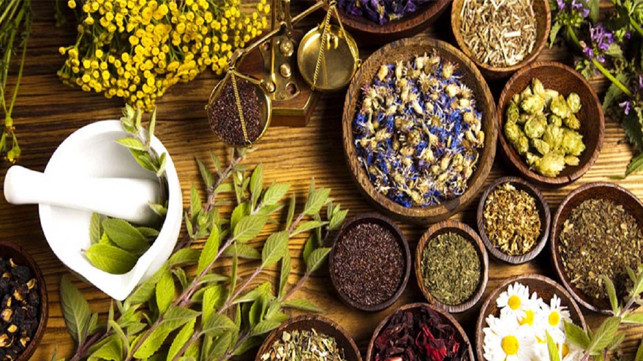 توسعه کشت گیاهان دارویی از سیاست‌های وزارت جهاد کشاورزی است