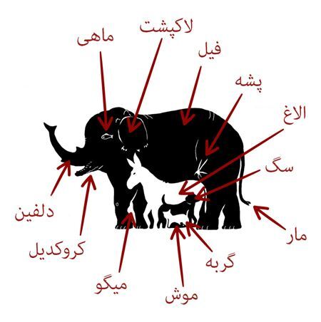 معما و سرگرمی&zwnj;های جالب برای تقویت هوش